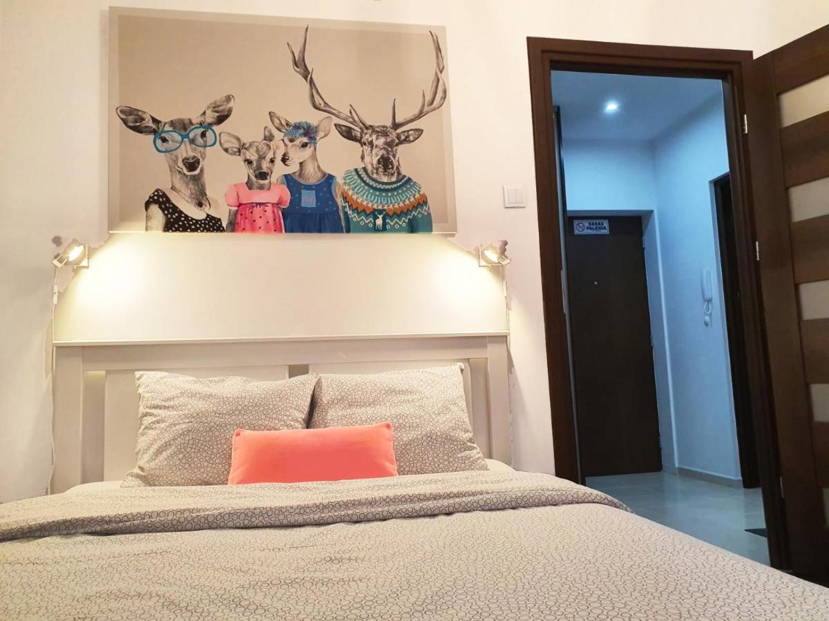 Apartament Przy Starowce - Stella ブンツラウ エクステリア 写真